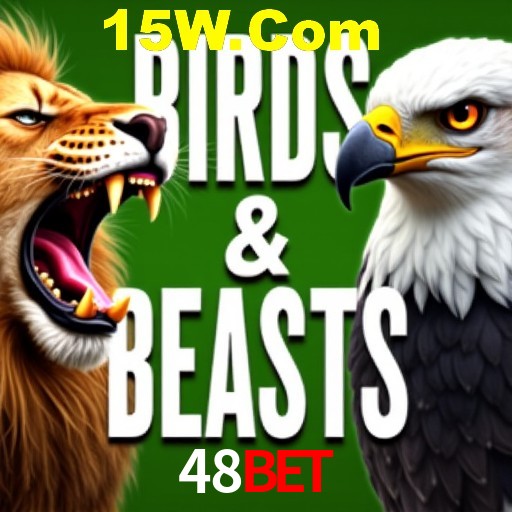 Apostas Esportivas na 48bet: Um Guia Completo